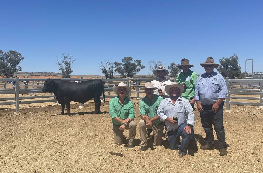 Nutrien's Gordon Wood and Richard Miller, with Goolagong stud principals Heath and Brian Tiller and (back) top price buyers Alex and Brian Ling, Mount Benson, Kingston SE. Pictures by Kiara Stacey