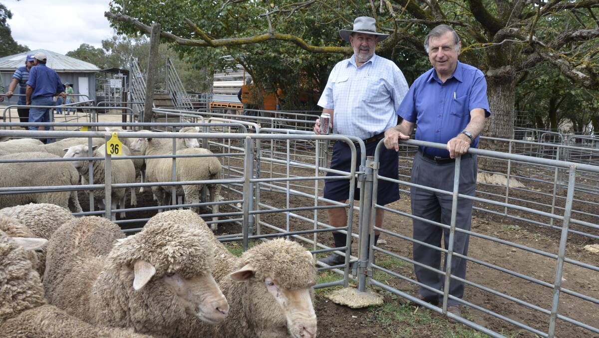 MARKET CHECK: Greg Henke, Flaxman Valley, and Trevor Kassebaum, Tanunda, checked out the Mount Pleasant sheep market.