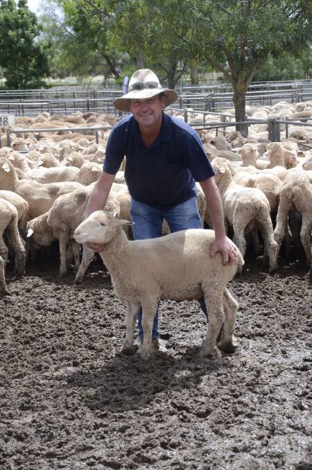 Dawson farmer Stephen McKeough sold 326 wethers at $98 to SAL Kimba.