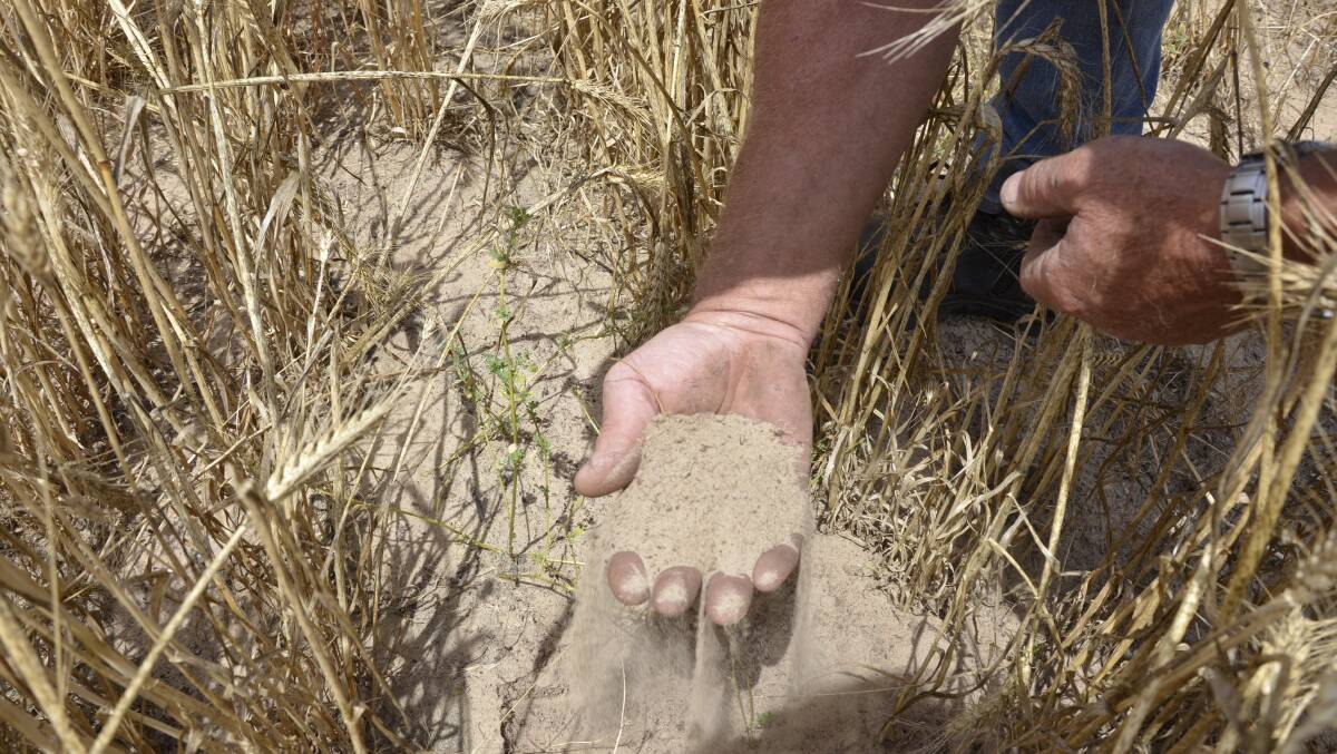 Making the most out of sandy soils is the focus of a field day being held at Minnipa on Wednesday July 27.
