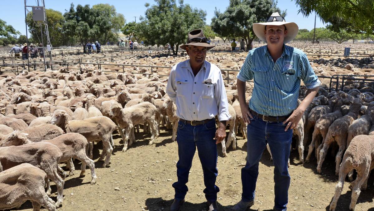 At the Jamestown market were Tony Hilder, Wirryilka Pastoral Company, via Broken Hill, NSW, and Landmark Broken Hill livestock sales' Digby Schinckel.