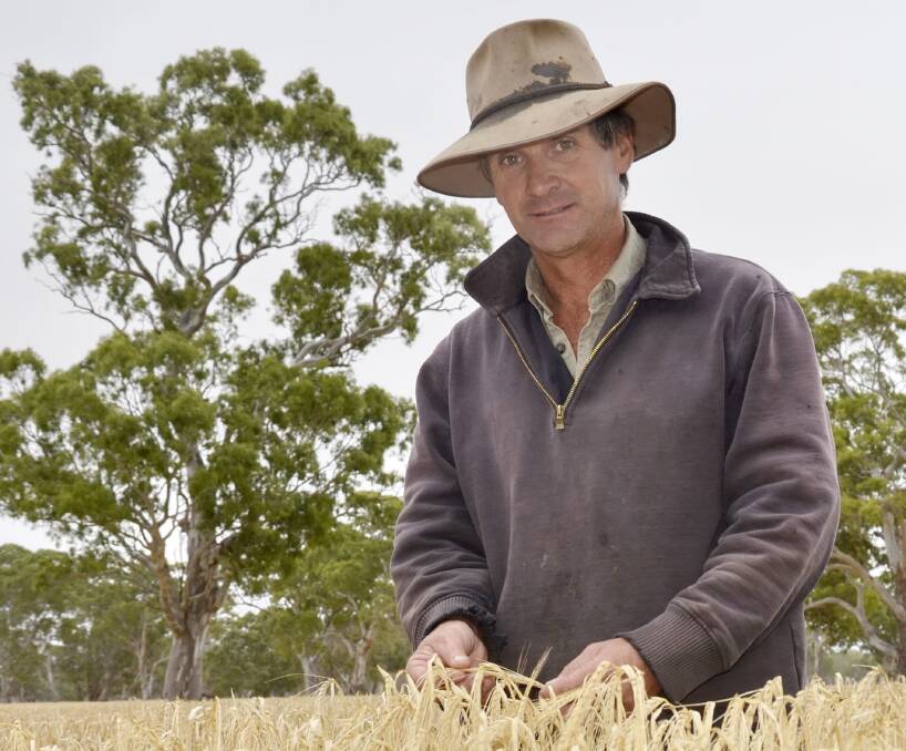 PLEDGE WELCOMED: Lucindale graingrower David Malpas, a Grain Producers SA director, says any relief on stamp duty for multi-peril crop insurance policies was welcome.