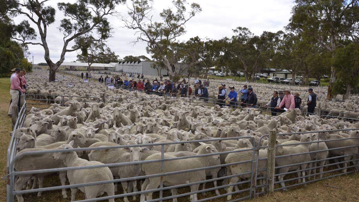 TOP CROWD: Bidders ventured from far and wide to the Cooranga sale at Lucindale on Friday.
