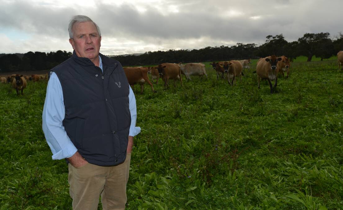 South Australian Dairyfarmers' Association president Robert Brokenshire said help was available for dairyfarmers facing feed shortages. File photo