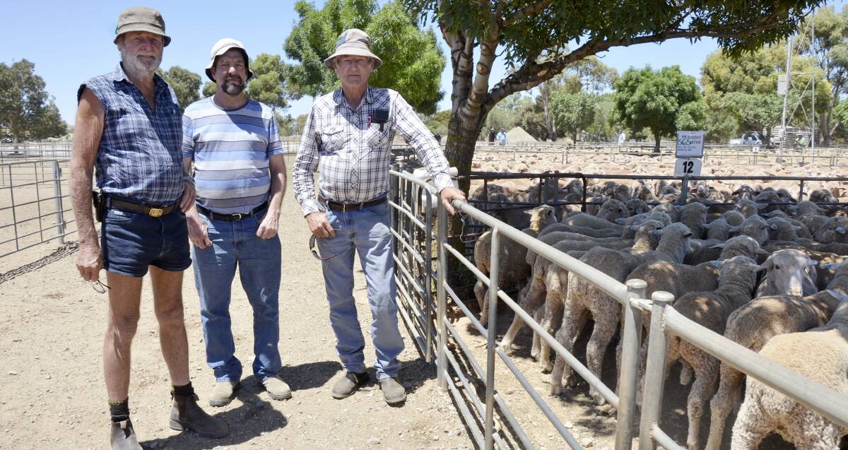 CATCH UP: Coonalpyn farmer John Ferme caught up with his nephew Michael and brother Tom, both of Port Pirie, at the Jamestown market earlier this month.