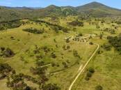 The scenic 2034 acre freehold property in the Mount Tom district features a mixture of open paddocks and timbered grazing country. Picture suppleid