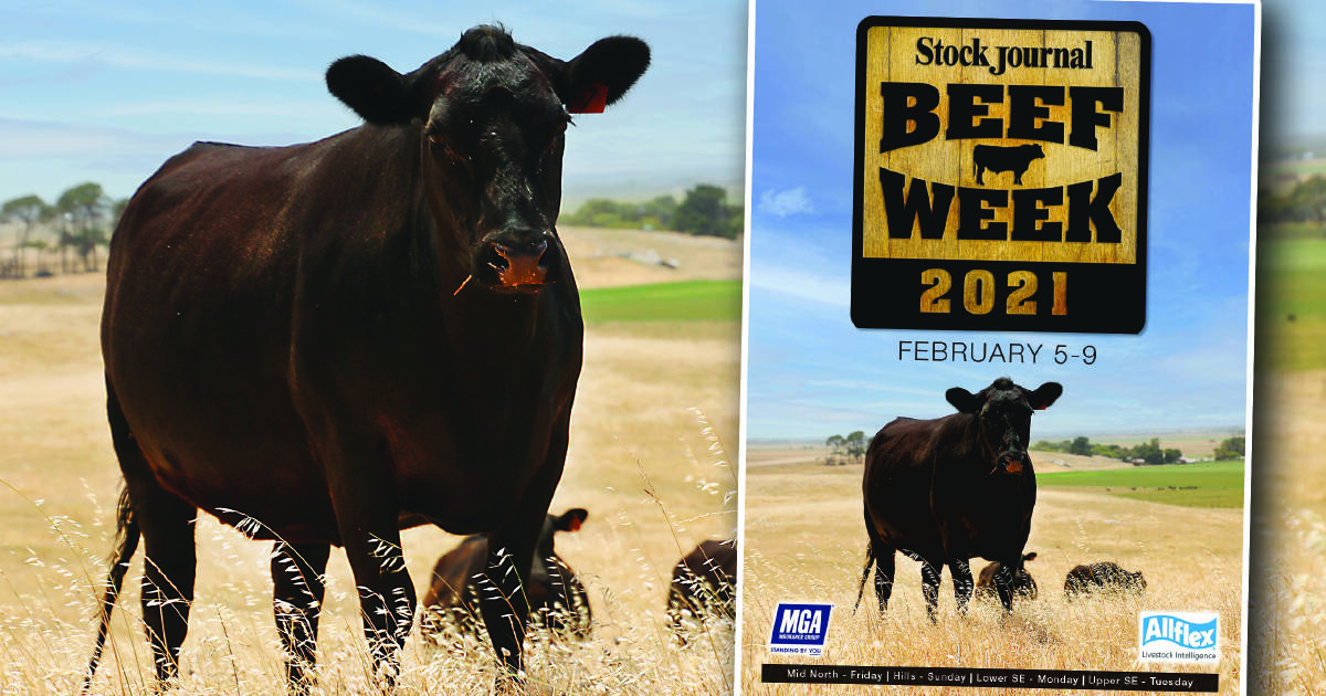 Beef Week 2021 view the program here Stock Journal SA