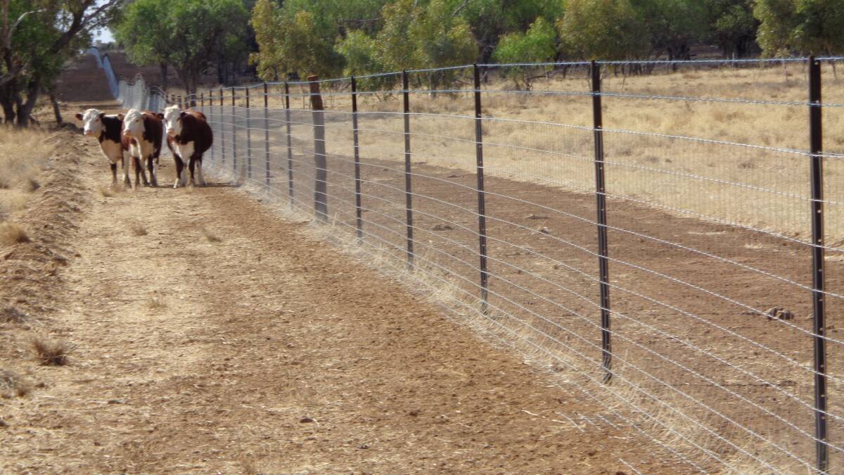 FENCE RIGHT: While it is desirable to keep your livestock under control within your property, it is essential to keep your livestock within your property.